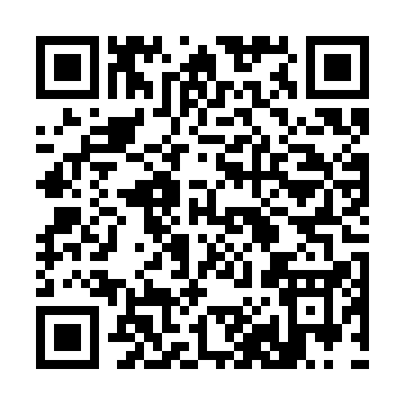 QR code for 384SA