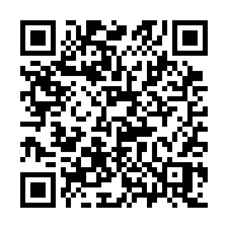 QR code for 384SDR