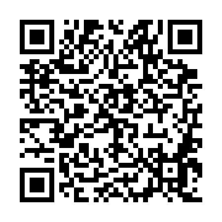 QR code for 384SM