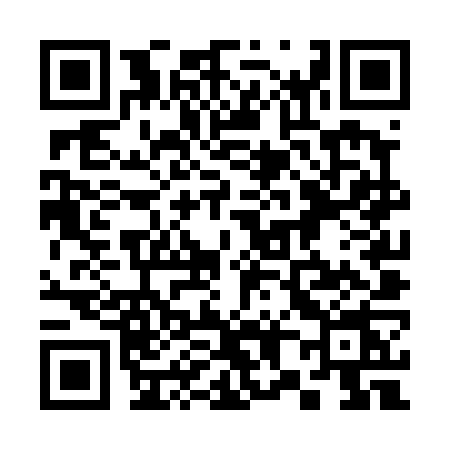 QR code for 384T