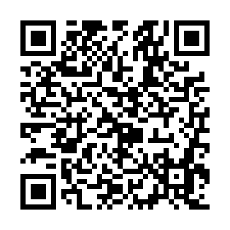 QR code for 384TG