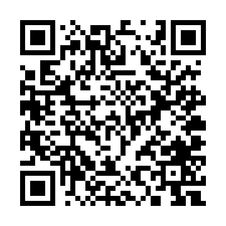 QR code for 384TN