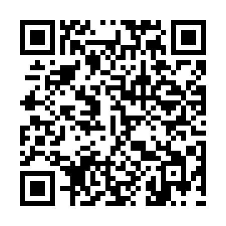 QR code for 384VQI