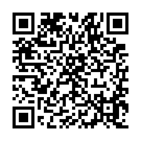 QR code for 384WI