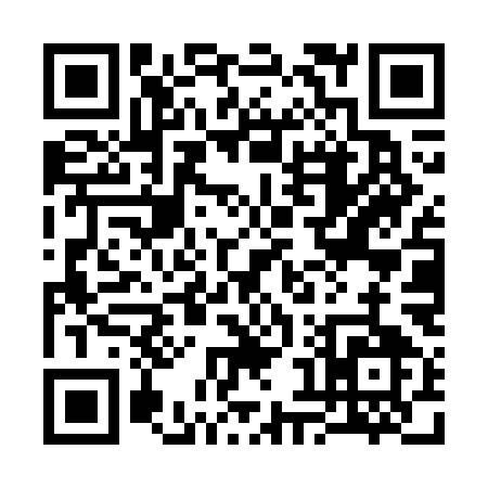 QR code for 384WM