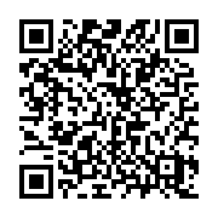 QR code for 384XRX