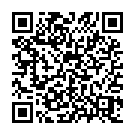 QR code for 384YAP