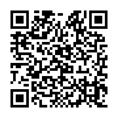 QR code for 384YP