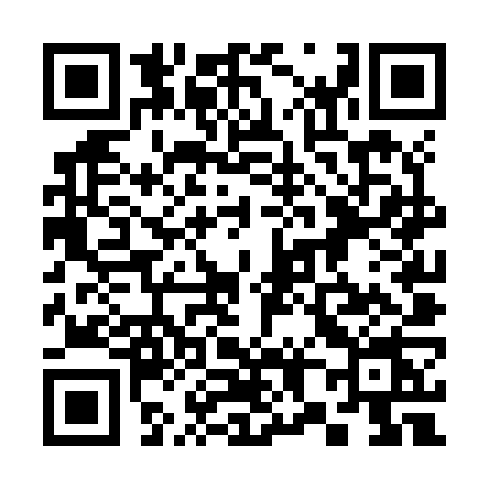 QR code for 384Z