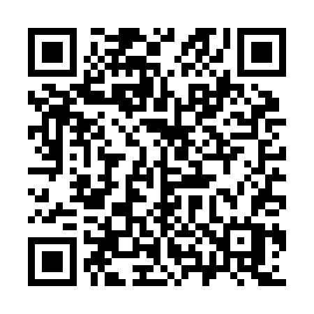QR code for 384ZDW