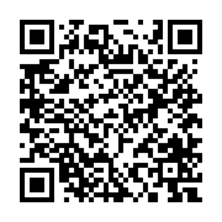 QR code for 385FX