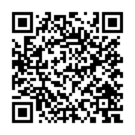 QR code for 385LT