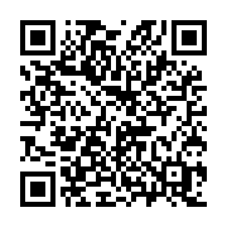 QR code for 385MCD