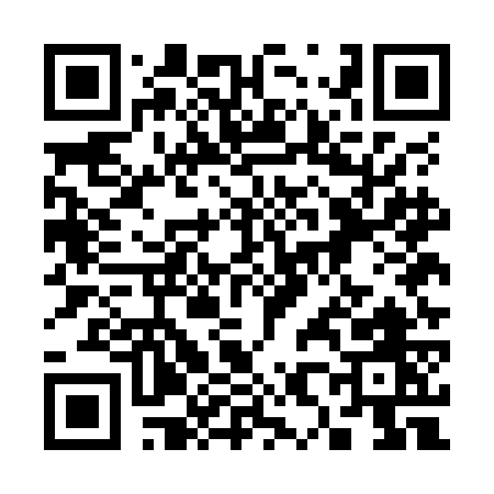 QR code for 385OG