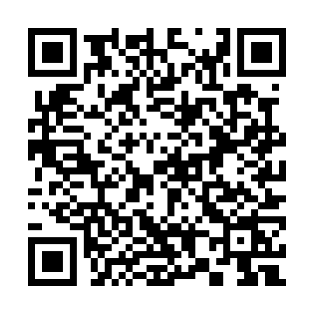 QR code for 385P