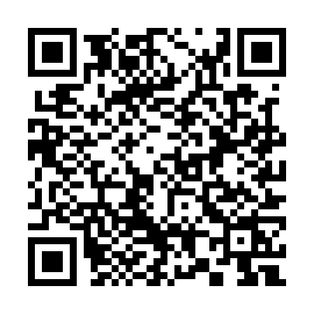QR code for 385Q