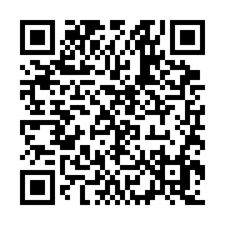 QR code for 385SF