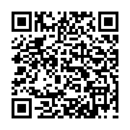 QR code for 385SK