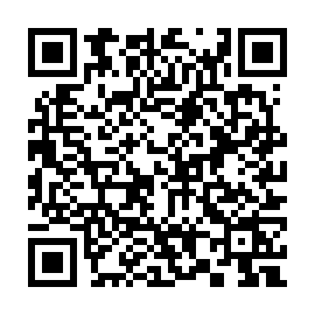 QR code for 385V