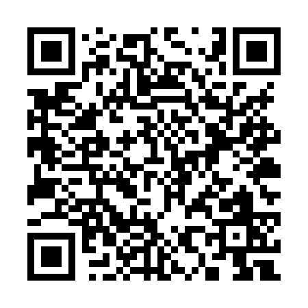 QR code for 385XS