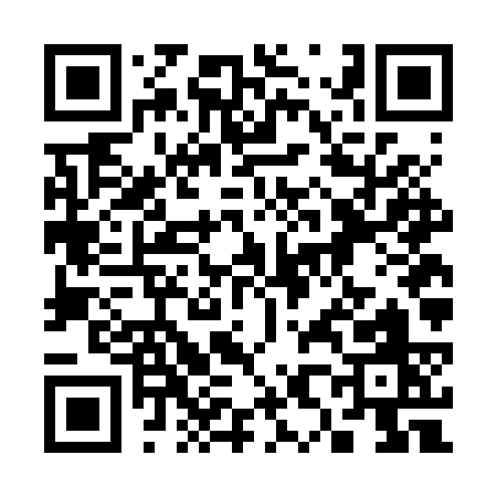 QR code for 386BS