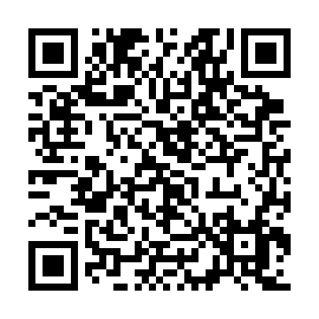 QR code for 386CF