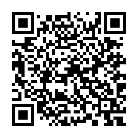 QR code for 386DIS