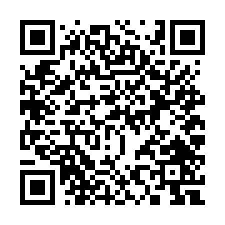 QR code for 386FT