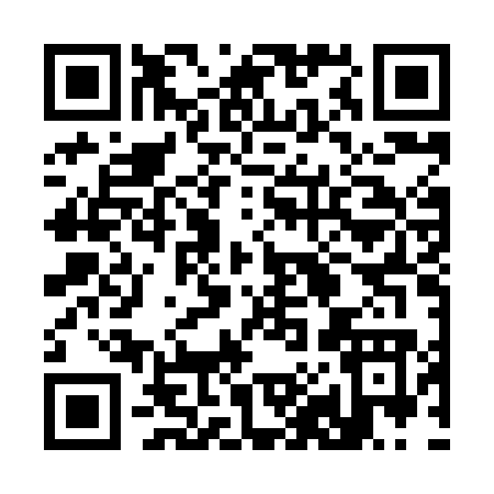 QR code for 386HO