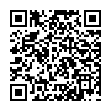 QR code for 386IB