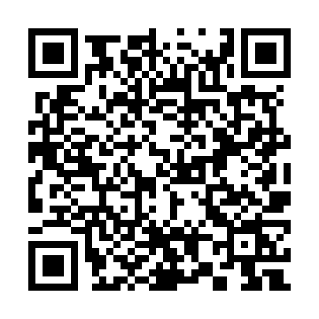 QR code for 386N