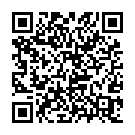 QR code for 386NEC