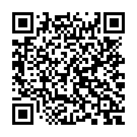 QR code for 386NPD
