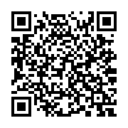 QR code for 386PGE