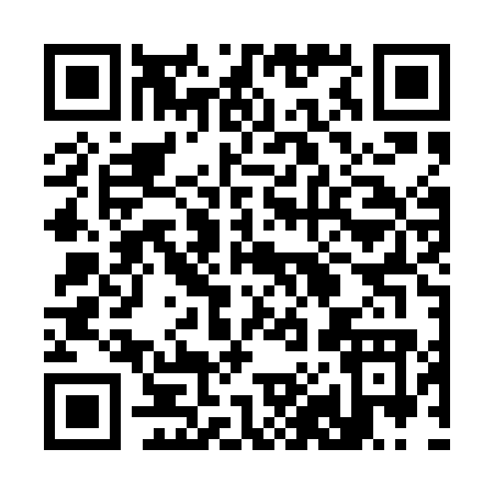 QR code for 386PO