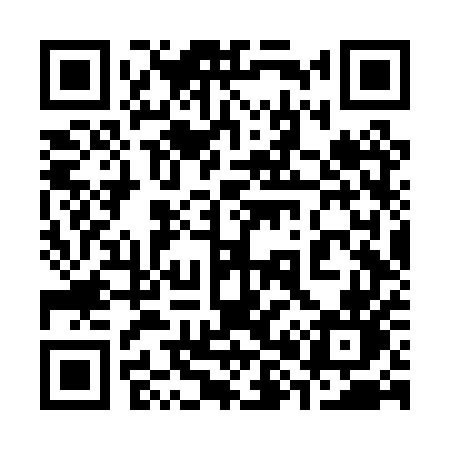 QR code for 386PUN