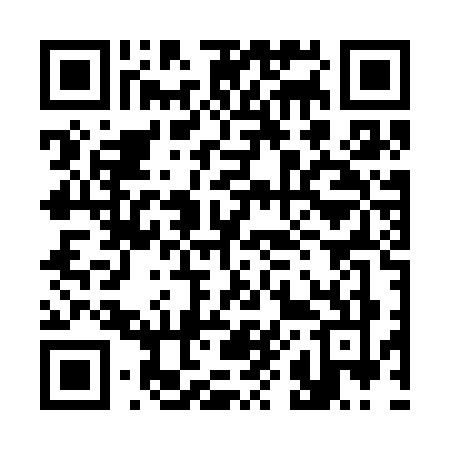 QR code for 386S
