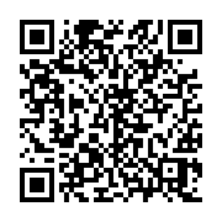 QR code for 386TIR
