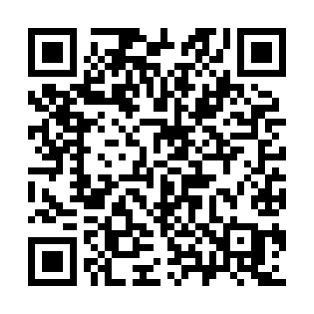 QR code for 386XIA