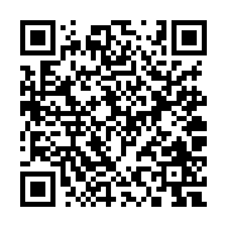 QR code for 386XJ