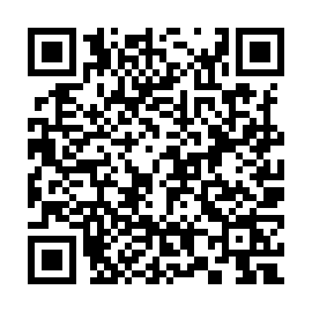 QR code for 386Y