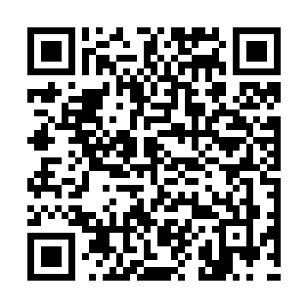 QR code for 386Z