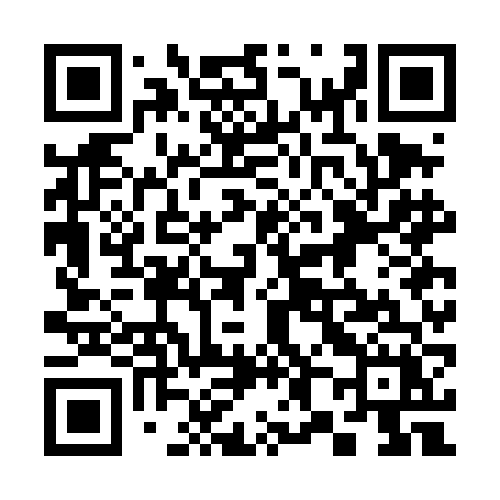 QR code for 387DFX