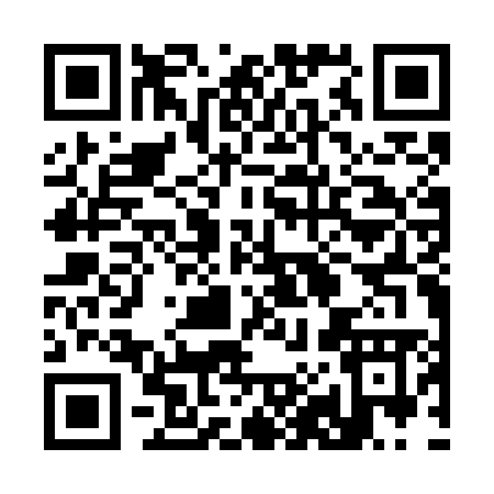 QR code for 387GM