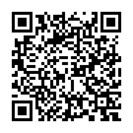 QR code for 387K