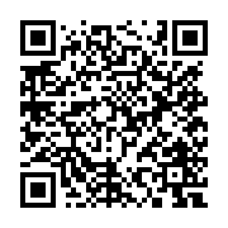 QR code for 387LU