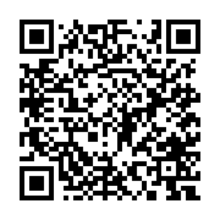 QR code for 387MN
