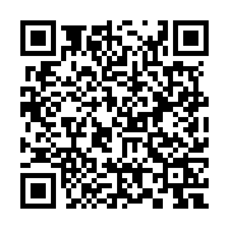 QR code for 387N