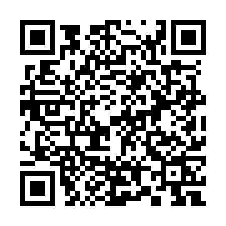 QR code for 387O