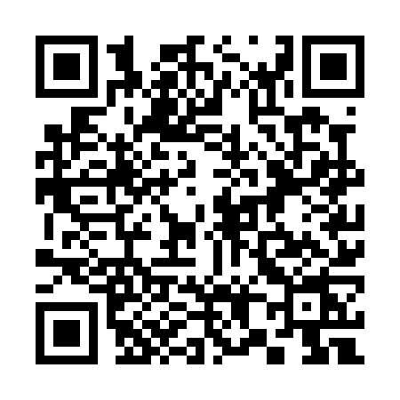 QR code for 387P